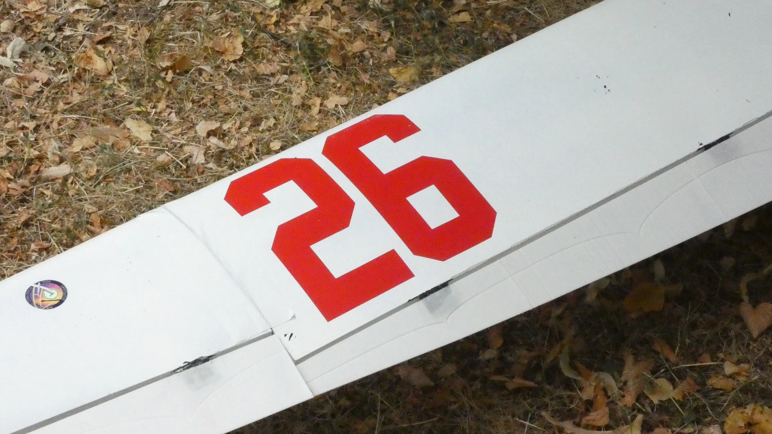 Detalle del número 26 en rojo sobre el ala blanca, encima de hojas secas.
